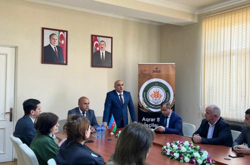 “İnsan Hüquqları Aylığı” çərçivəsində silsilə tədbirlər davam etdirilir