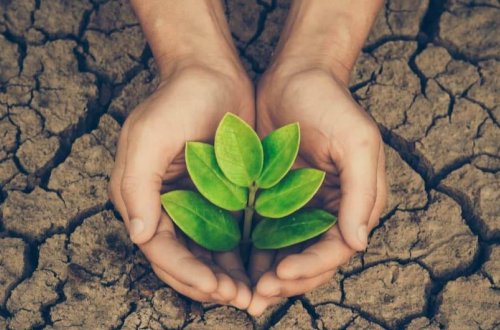 Bu gün Ümumdünya Səhralaşma və Quraqlıqla Mübarizə Günüdür