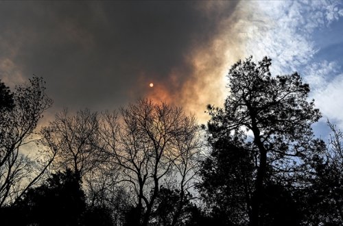 ABŞ-da meşə yanğınları səbəbindən fövqəladə vəziyyət elan edilib