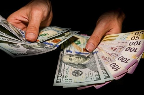 Manatın məzənnəsi üçün təhlükə varmı? (VİDEO)