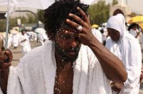 Həcc ziyarəti zamanı həlak olan zəvvarların sayı 900-ü keçib