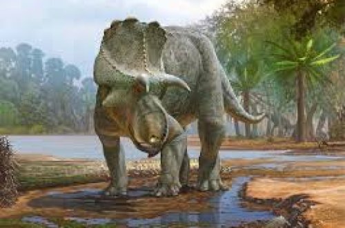 ABŞ-də yeni nəhəng dinozavr növü aşkarlandı