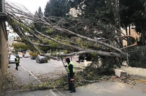 Başına ağac düşən 21 yaşlı Rəvan vəfat etdi