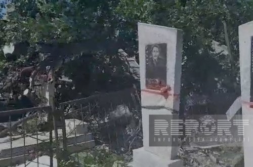 Bərdədə güclü külək çoxillik ağacı aşırıb, bir neçə qəbir dağılıb
