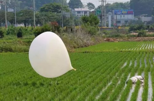 Şimali Koreyanın tullantı balonlarında parazit tapılıb