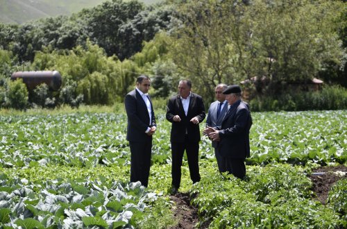 Nazir müavini Sarvan Cəfərov Gədəbəydə vətəndaşları qəbul edib, təsərrüfatlara baş çəkib
