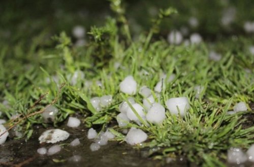 Gədəbəyə dolu yağıb, təsərrüfatlara ziyan dəyib