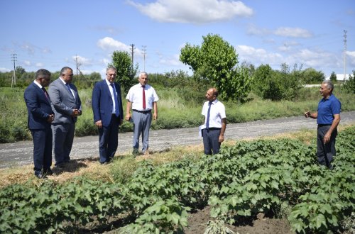 Kənd təsərrüfatı nazirinin müavini Elçin Zeynalov Zərdabda vətəndaşları qəbul edib, təsərrüfatlara baş çəkib