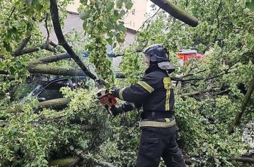 Sankt-Peterburqda qasırğa nəticəsində 1 nəfər öldü