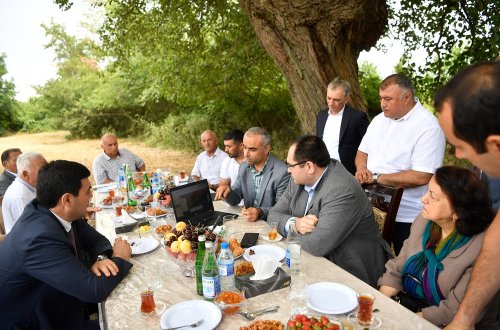 Nazir Məcnun Məmmədov Xaçmazda taxıl biçini prosesini izləyib, fermerlərlə görüşüb