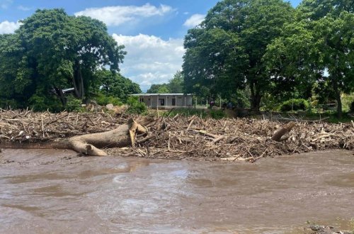 Venesuelanın vitse-prezidenti ağac aşması nəticəsində yaralanıb