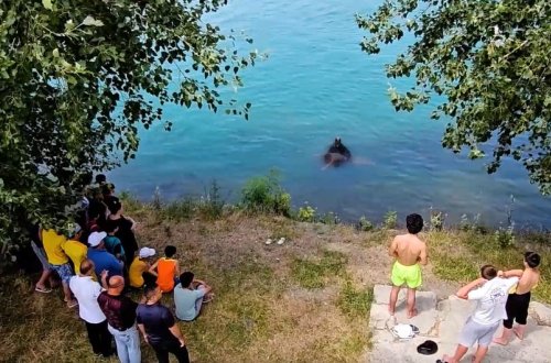 FHN qeyri-çimərliklərdən istifadə ilə əlaqədar əhaliyə müraciət edib