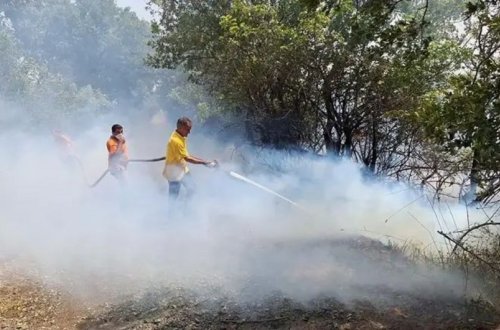 Türkiyənin bir neçə bölgəsində meşə yanır, kəndlər təxliyə edilib, evlərə ziyan dəyib