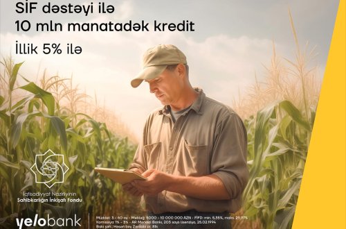 Yelo Bank-dan illik 5%-lik kreditlə biznesinizi böyüdün