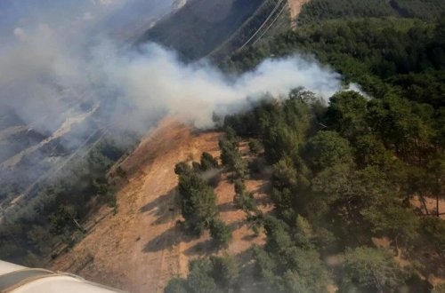 Türkiyənin müxtəlif ərazilərində meşə yanğınları olub