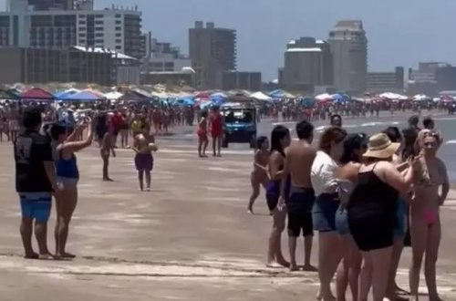 ABŞ-da çimərlikdə köpək balığının hücumu nəticəsində 4 nəfər yaralanıb