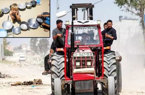 Qəzzada kənd təsərrüfatına yararlı torpaqların yarısı məhv edilib