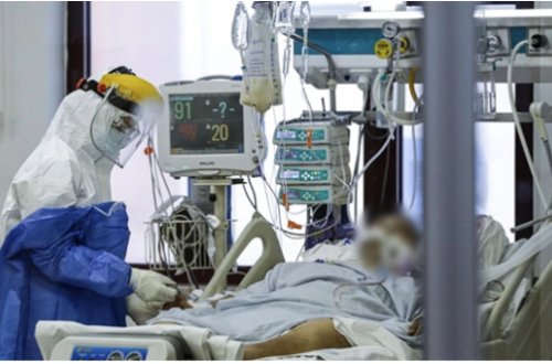 Azərbaycanın qonşuluğunda virus həyəcanı - Ölümə səbəb olur