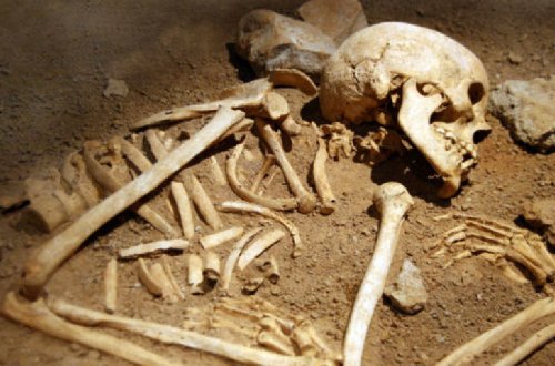 Siyəzəndə özəl müəssisənin həyətində insan sümükləri aşkarlandı