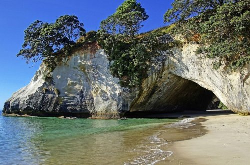 Yeni Zelandiyadan gələn xəbərlər iqlim üçün qorxuludur