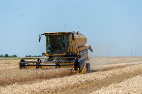 Azərbaycanda biçin prosesinin yekun mərhələsi başlayıb