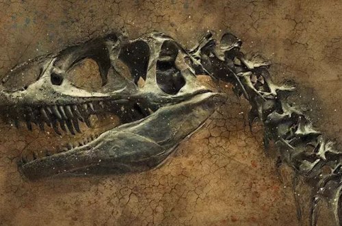 İngiltərədə yeni növə aid dinozavr fosili tapılıb