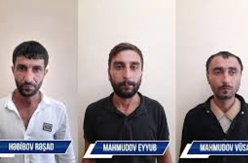 Göyçayda narkotik vasitələrin qanunsuz dövriyyəsini təşkil edən şəxslər tutulublar