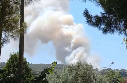 Türkiyə-Bolqarıstan sərhədində meşə yanır