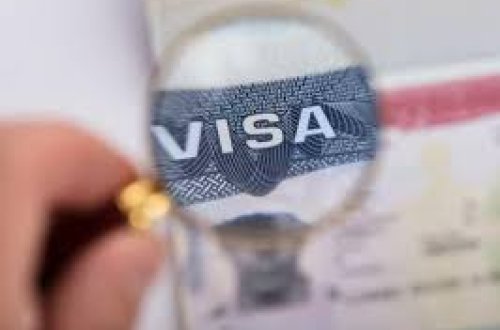 COP29 viza müraciət sistemi aktivləşdirilib