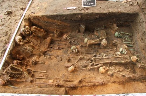 Alimlər 5 min il əvvəl Avropa əhalisini məhv edən vəbanın mənşəyini aşkarlayıblar