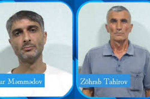 Bağ sahələrində narkotik tərkibli bitkilər yetişdirən Lerik sakinləri saxlanılıb