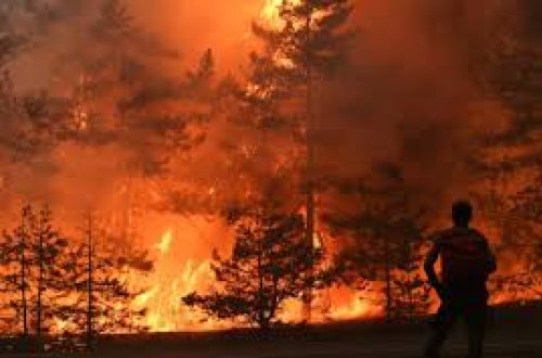 Yakutiyada təbiət yanğınlarının sahəsi 936 min hektarı ötüb