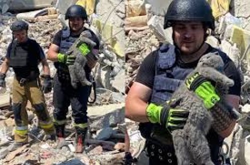 Ukraynada dağıntılar altından pişik xilas edildi: Sahibəsini ölümdən qurtarıb