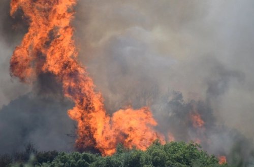 Türkiyədə meşədə baş verən yanğın evlərə sıçradı