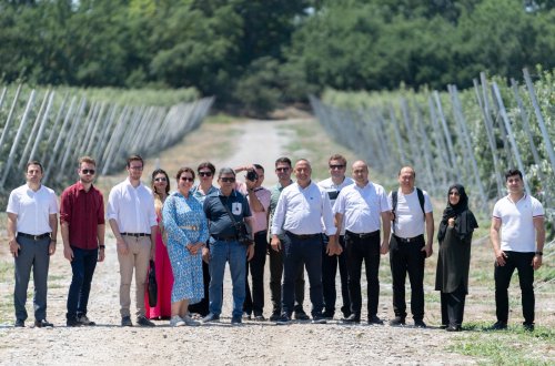 Türk Dövlətləri Təşkilatı ölkələri arasında “OTS-MADE” məsələlərinə dair iclas keçirilir
