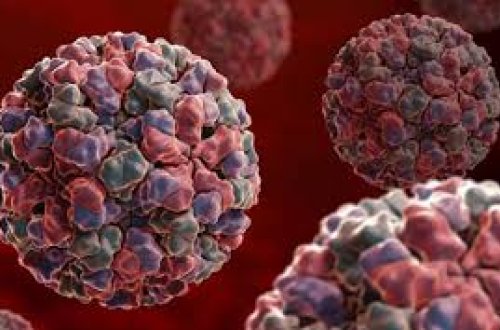 Rusiyada dəmiryol sanatoriyasında zəhərlənən uşaqların sayı 35-ə yüksəlib