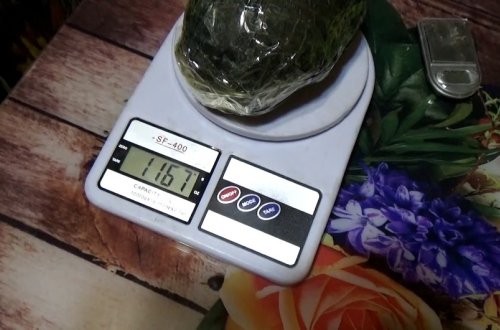 Bakıda narkotik satışını təşkil edən şəxslər saxlanılıb