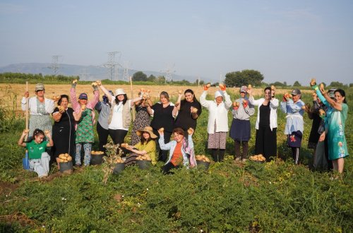 AFAQ layihəsi çərçivəsində Tovuz rayonunda qadın fermerlərə dəstək göstərilib