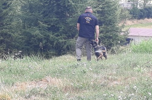 İtkin düşən qadının meyitini it tapdı