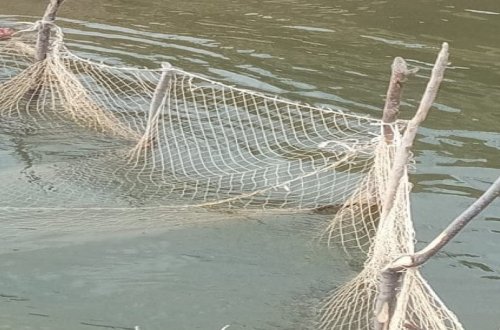 Xəzərdə brokonyerlik edən şəxslər saxlanılıb