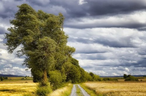 Bakı və Abşeronda külək güclənib, bölgələrdə leysan yağır – FAKTİKİ HAVA