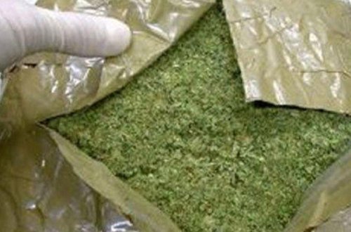 Qəbələdə narkotiklərin dövriyyəsini təşkil edən şəxs tutuldu - FOTO