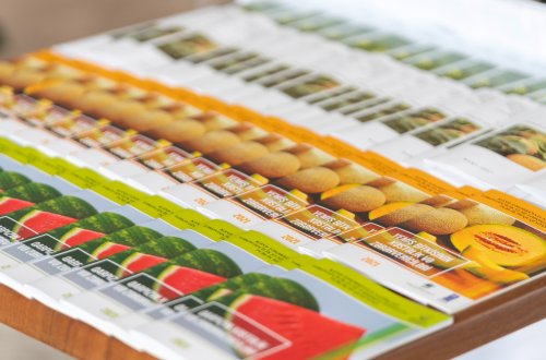 Azərbaycanda 6 qədim yemiş sortunun bərpası həyata keçirilib