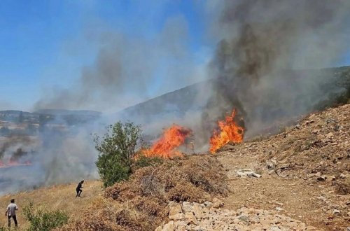 Türkiyədə meşə yanır, əraziyə dörd helikopter və PUA cəlb olunub