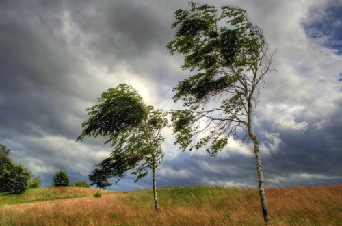 Bəzi bölgələrdə küləkli havaya görə sarı xəbərdarlıq edilib