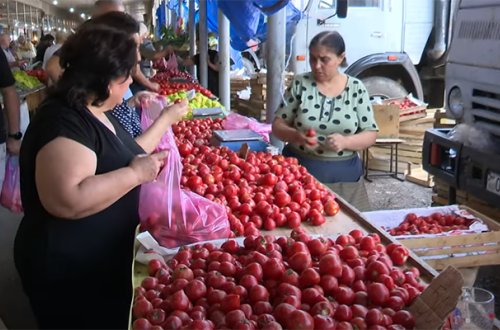 “Yayın istisində 3 manata pomidor olar?” - VİDEO