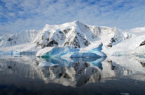 Alimlər Antarktidanın buzlarında yırtıcı mikroorqanizmlər aşkar ediblər