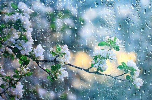 Sabah külək əsəcək, dağlıq ərazilərdə yağış yağacaq - PROQNOZ