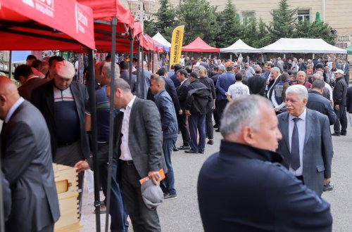 Daşkəsəndə Aqrar Biznes Festivalı keçirilib