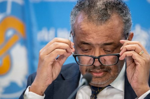 ÜST meymun çiçəyi virusuna görə dünyada fövqəladə vəziyyət elan etdi